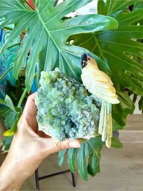 Carved Parrot on Prehnite - Hand crafted collectors Art piece